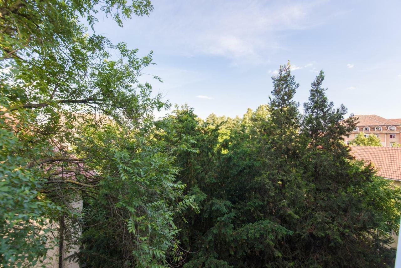 Exotic Rami'S Apartments Тімішоара Екстер'єр фото